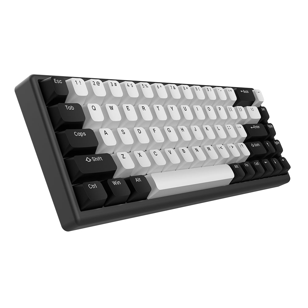 Arbiter Studio Polar 65 Keyboard Black Panda / Black frame