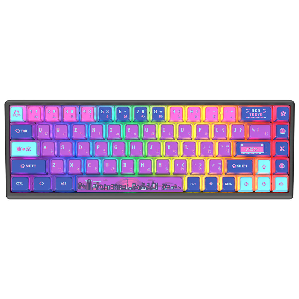 Arbiter Studio (アービタースタジオ) Polar 65 磁気キーボード