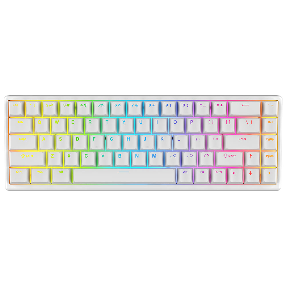 Arbiter Studio TENKO Polar 75 + HE ラピトリ TENKO® - Polar 75+ HE Magnetic Gaming Keyboard – Arbiter Studio