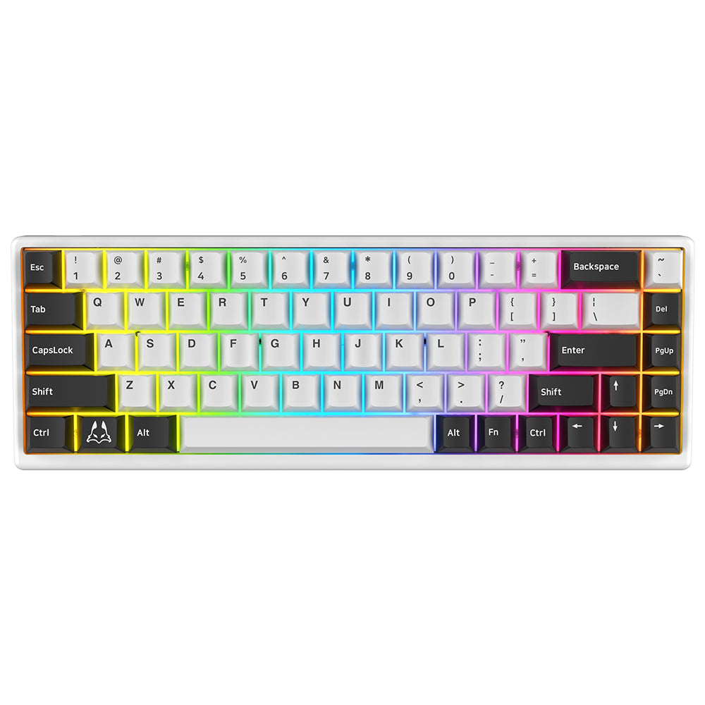 Arbiter Studio (アービタースタジオ) TENKO Polar 65 + 磁気 