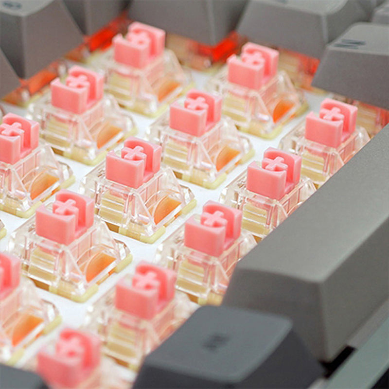 TTC Golden Pink Switches Batch 10個入