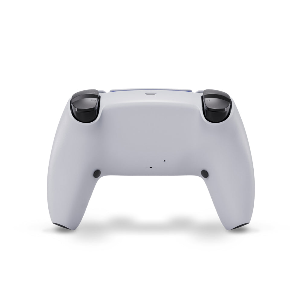 Void Gaming Starter Custom Controller, Void Button Type, for PS5 | PC, White