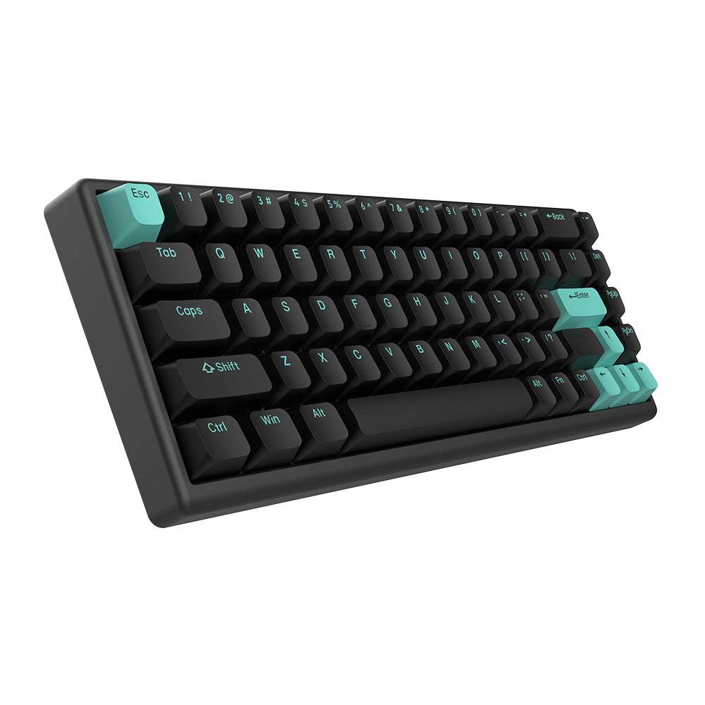 Arbiter Studio Polar 65 Keyboard Mint Abyss / Black frame