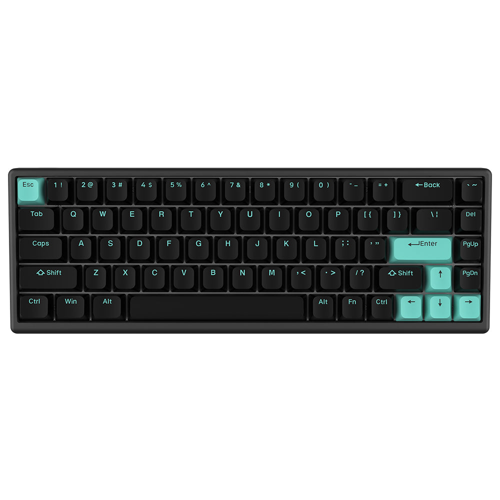 Arbiter Studio Polar 65 Keyboard Mint Abyss / Black frame
