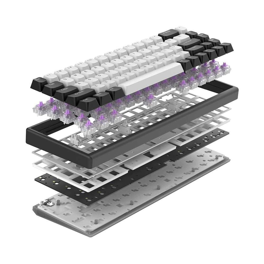 Arbiter Studio Polar 65 Keyboard Black Panda / Black frame