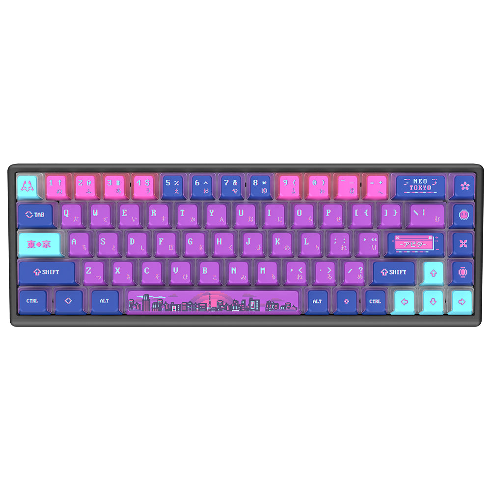 Arbiter Studio Polar 65 Keyboard Neo Tokyo / Black frame
