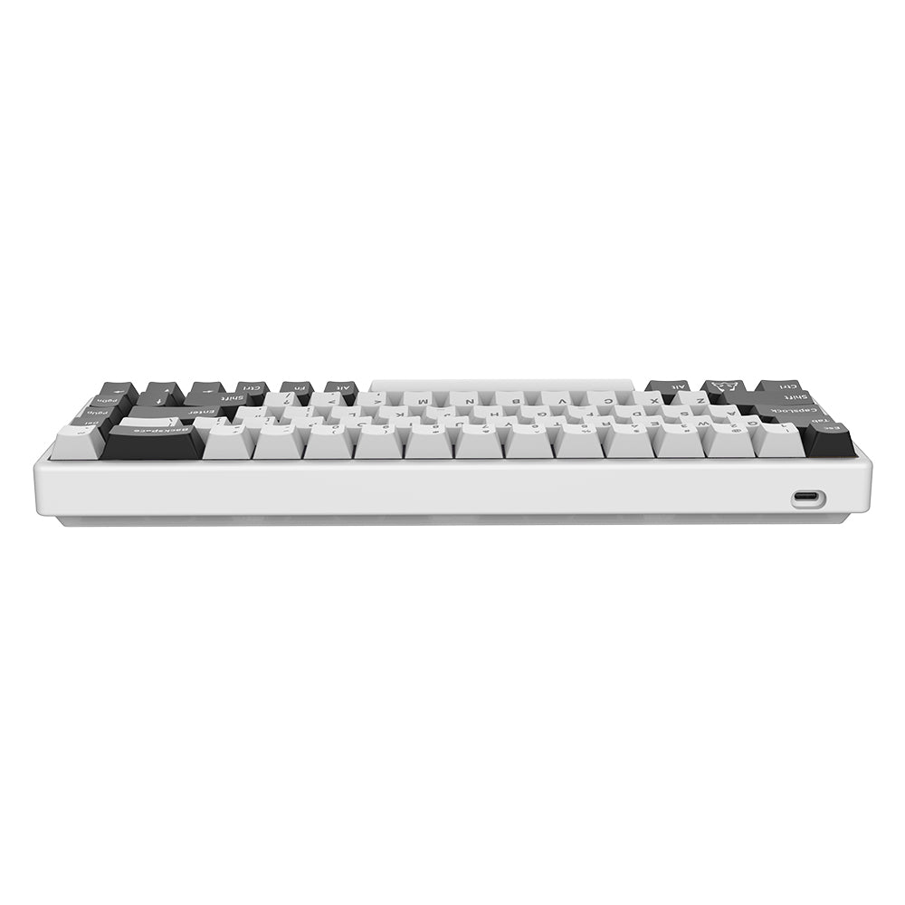 Arbiter Studio (アービタースタジオ) TENKO Polar 65 + 磁気