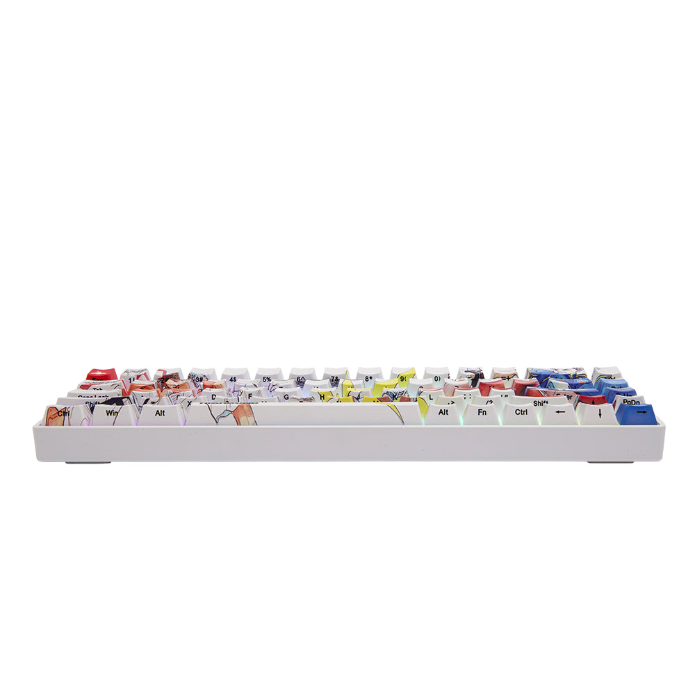 Higround SF x HG Basecamp 65 keyboard Ryu vs Chun-Li