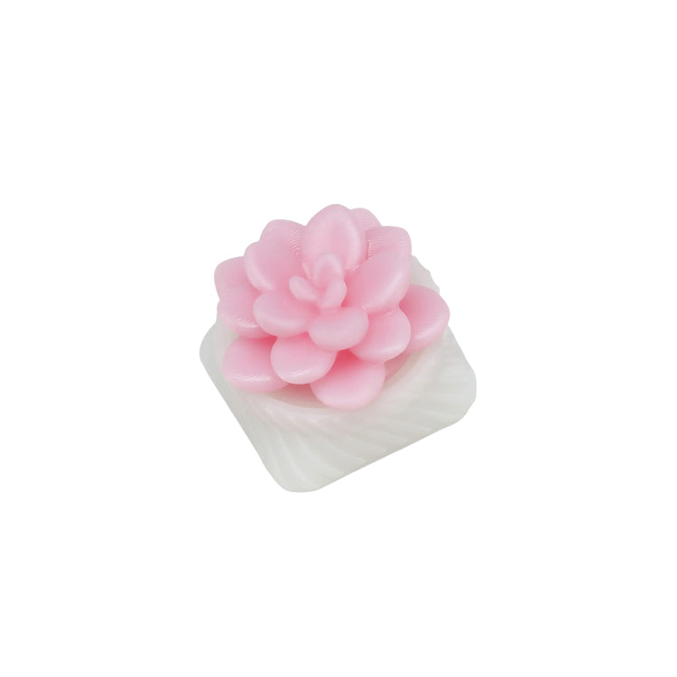 Capsmiths Succulent Echeveria Artisan Keycap (Sakura)