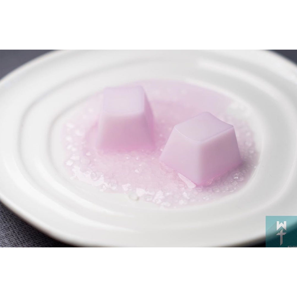 EscapeKeyboard POM Jelly Keycaps ANSI fullsize Mod Kit Lavender