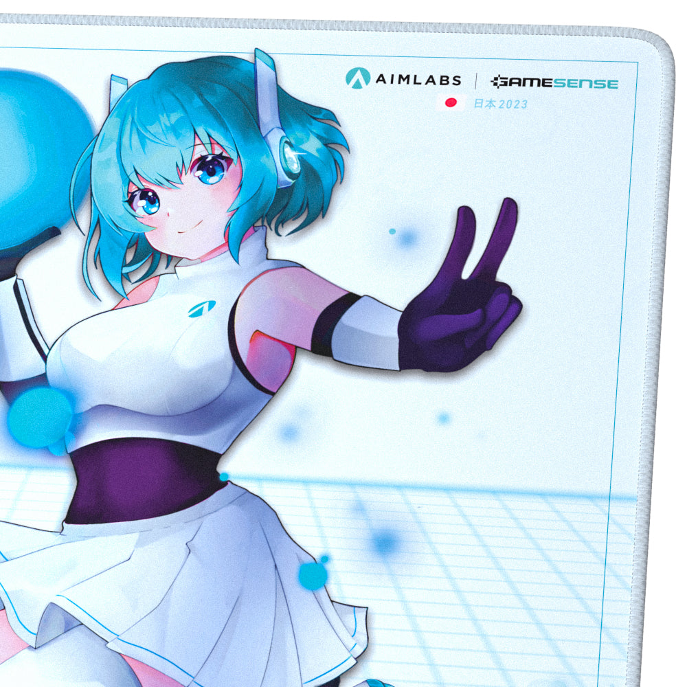 Gamesense×Aimlabs Radar Aimee Japan limited Edition L