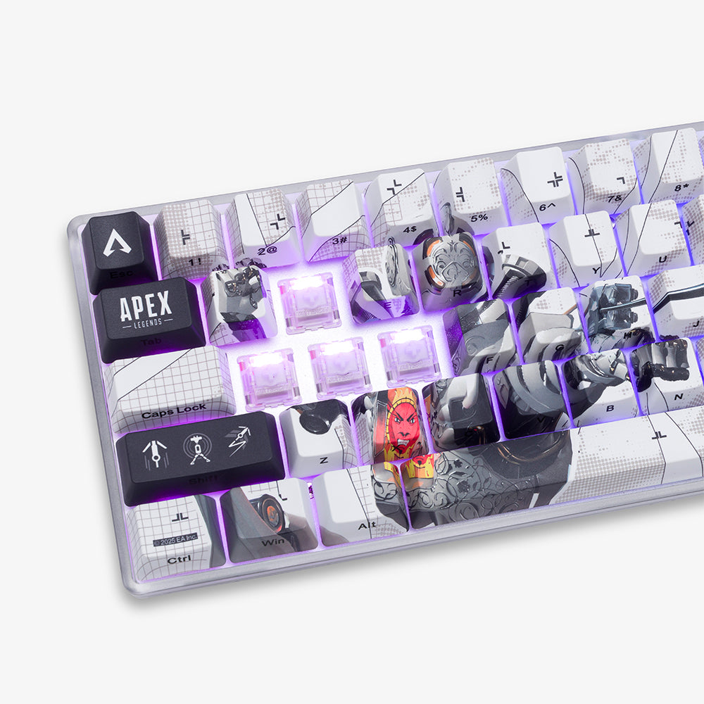 Higround (ハイグラウンド) Apex Legends Performance Base 65 磁気