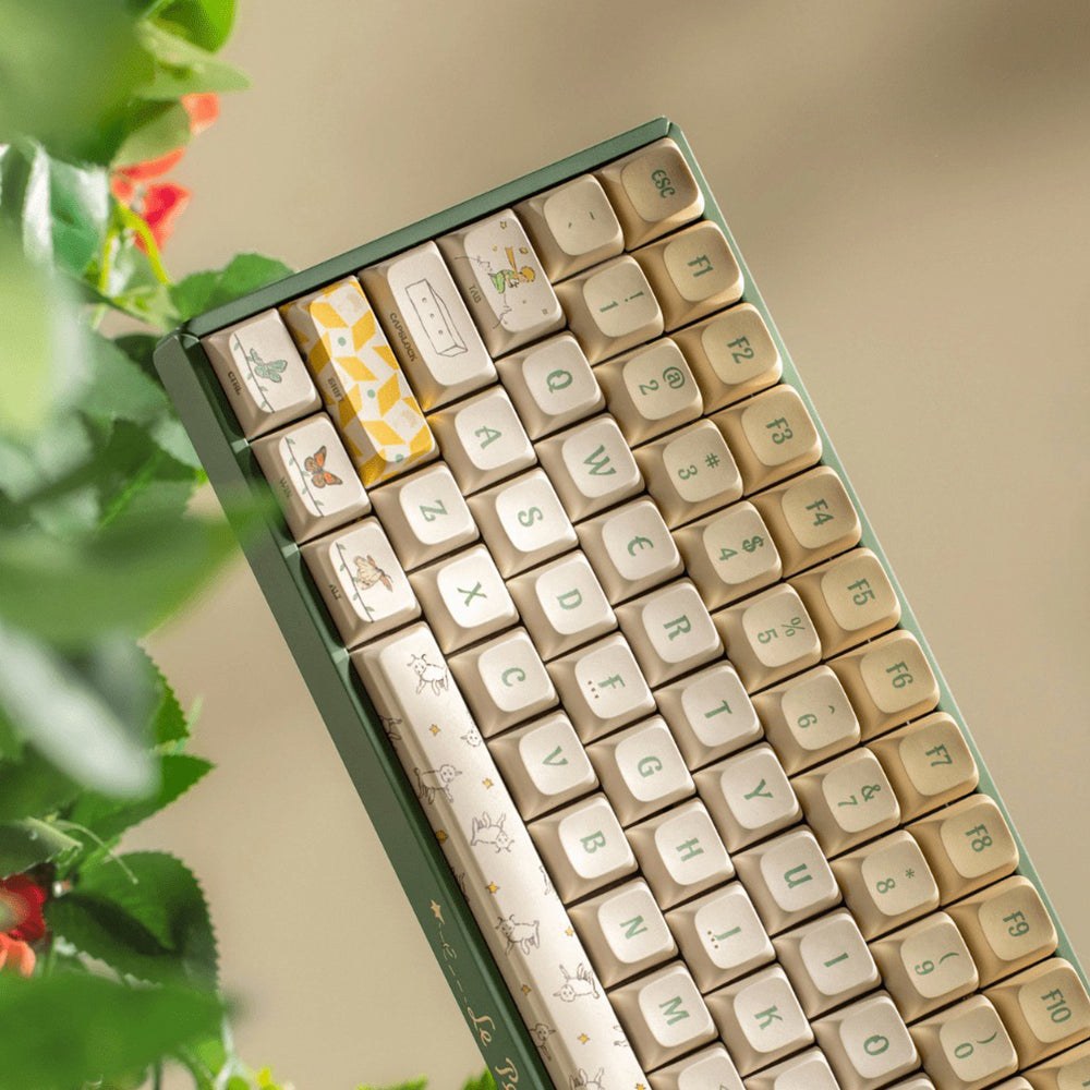 iQunix x Little Prince F97 Wireless Mechanical Keyboard Floral Date