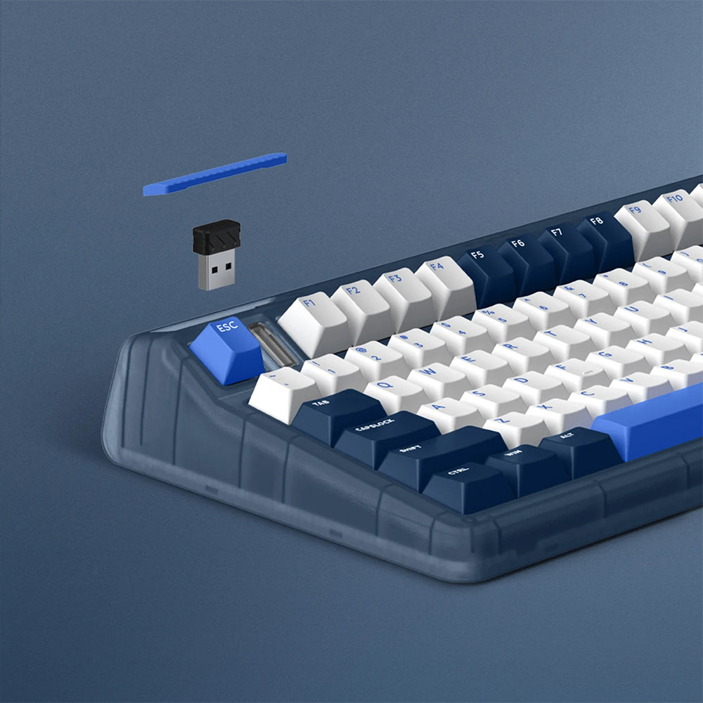 iQunix OG80 Wireless Mechanical Keyboard Wreck Diving