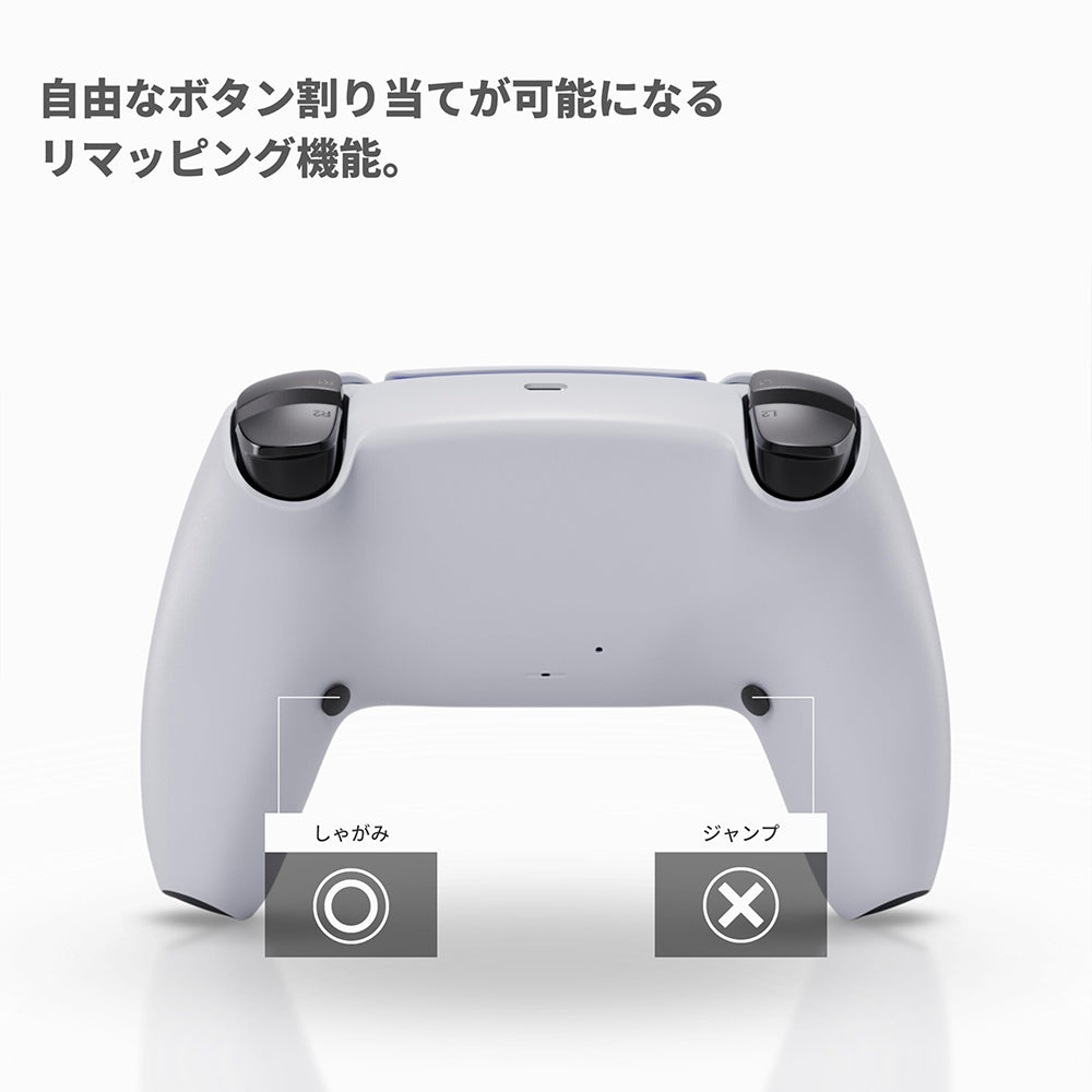 Void Gaming(ボイドゲーミング) FPS推奨カスタムコントローラー Void