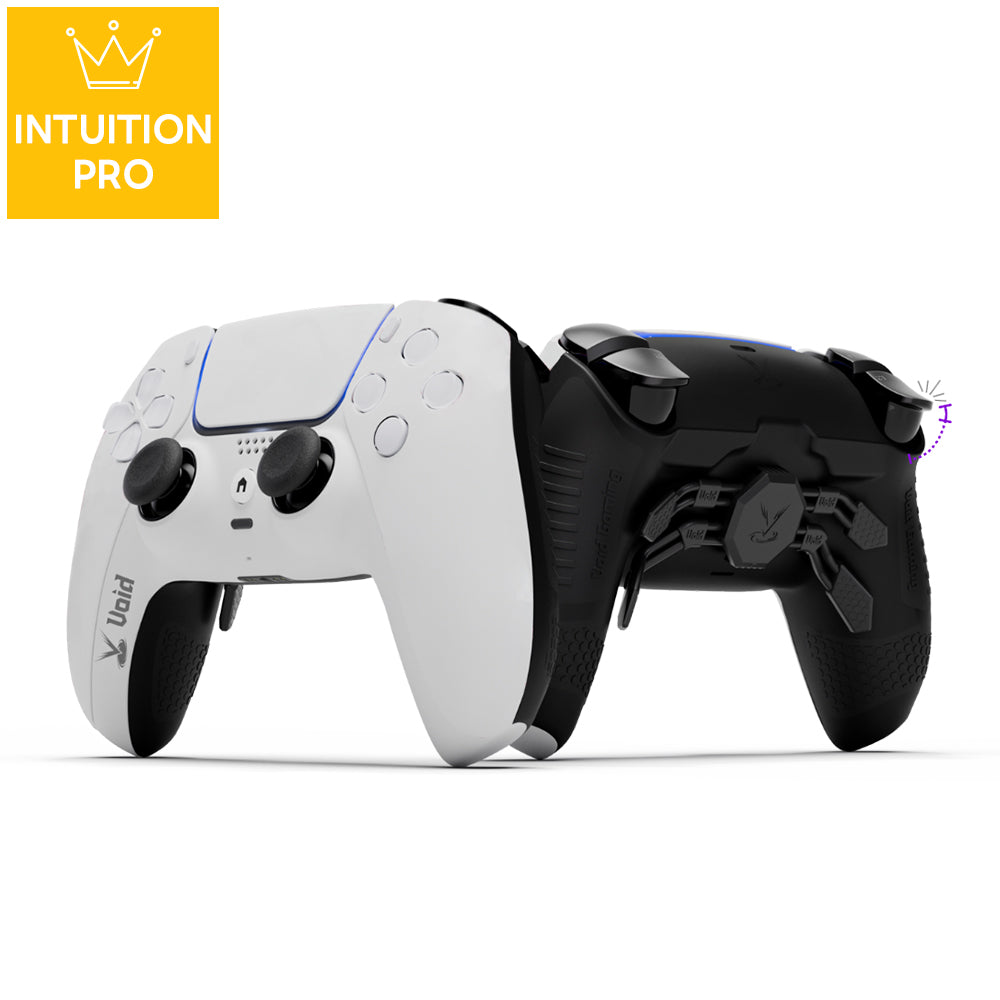 Void Gaming Custom Controller INTUITION Pro SHIRO
